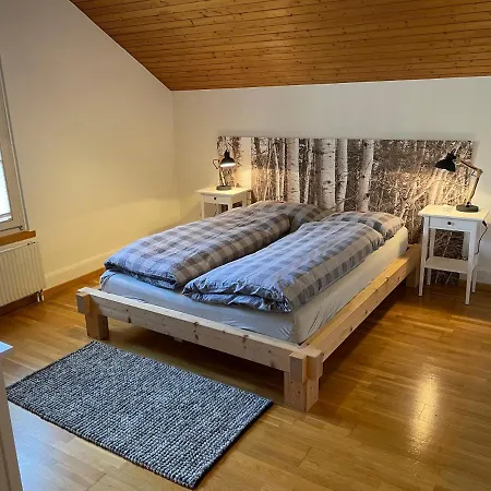 Interlaken Apartments Apartament Interlaken