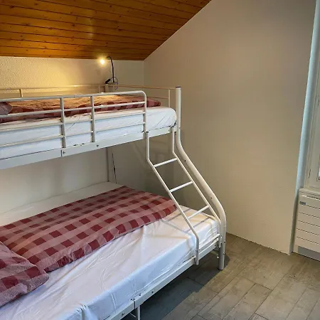 因特拉肯公寓 公寓 *