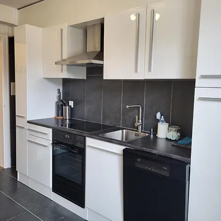 因特拉肯公寓 *