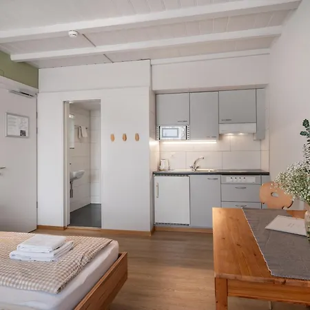 Апартаменты Interlaken Apartments